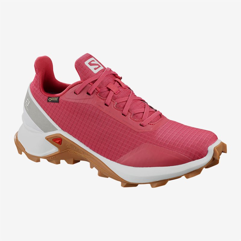 Zapatillas Trekking Salomon ALPHACROSS GTX W Mujer Rosas (ES-WRKU)